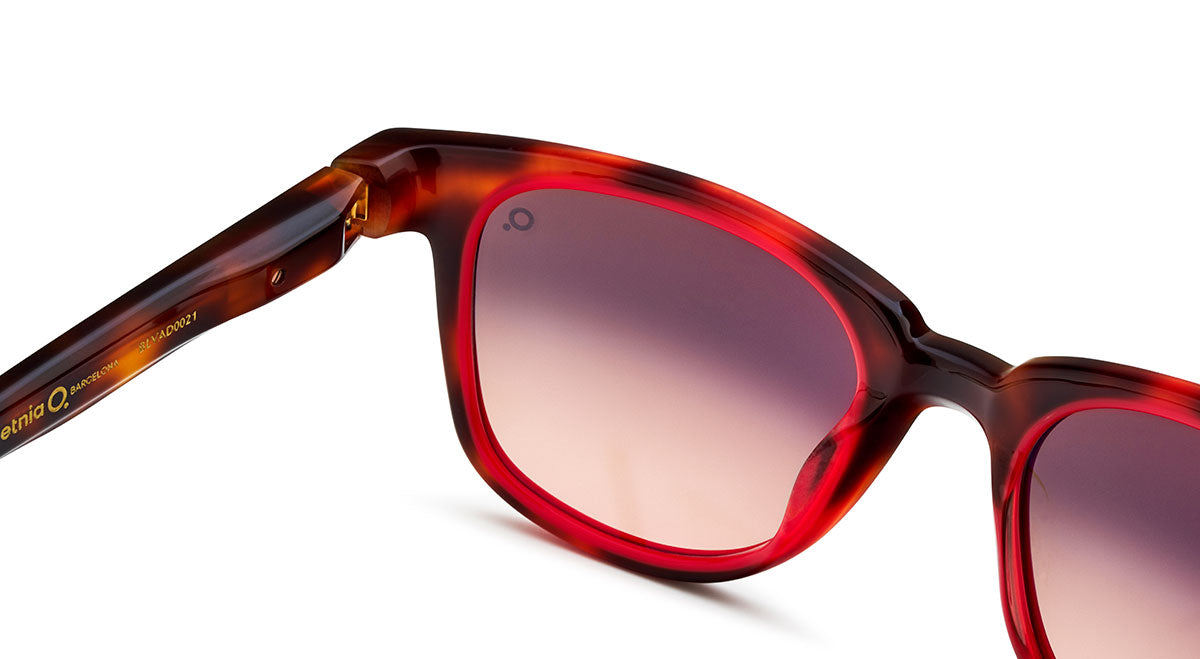Etnia Barcelona Ibiza 05 Sun lunettes de soleil PK/BR polarisé 51