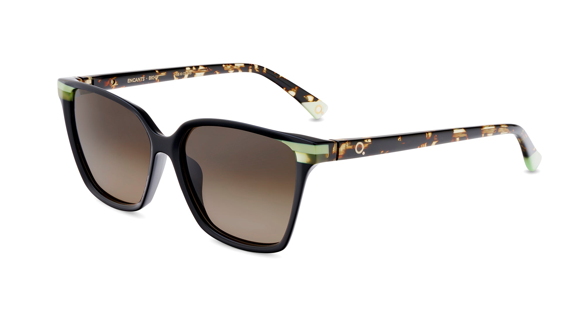 Etnia Barcelona Encants lunettes de soleil polarisées BK/HV