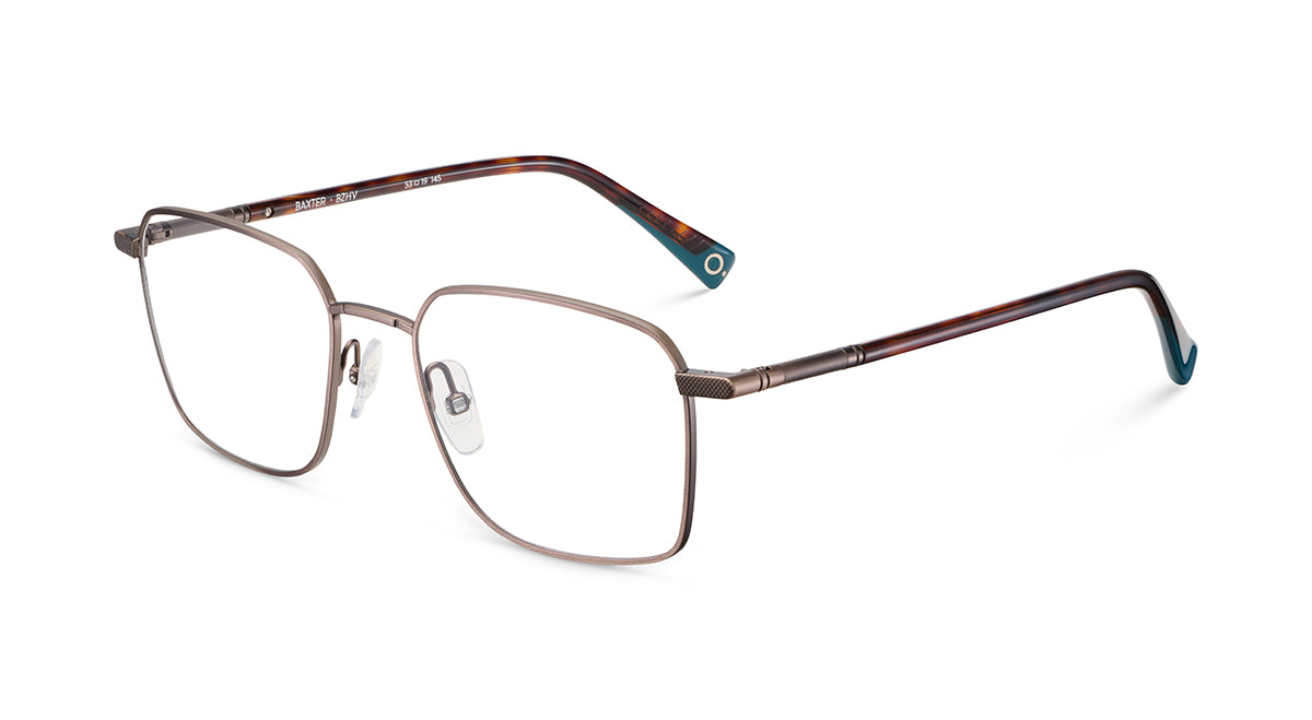 Etnia Barcelona Baxter lunettes de vue PT/GR calibre 53