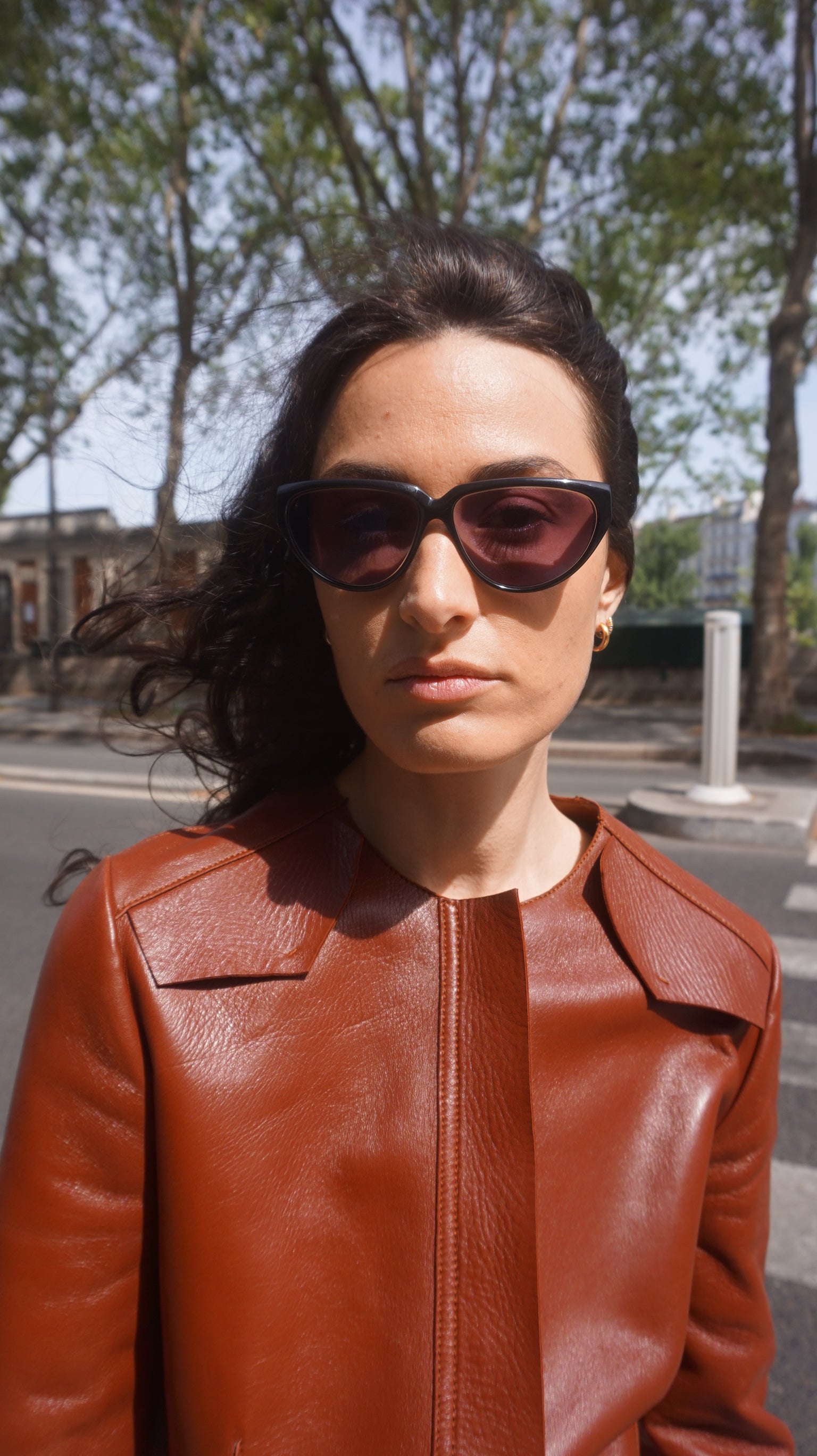 Lizon Transitions lunettes Améthyste dégradé noir