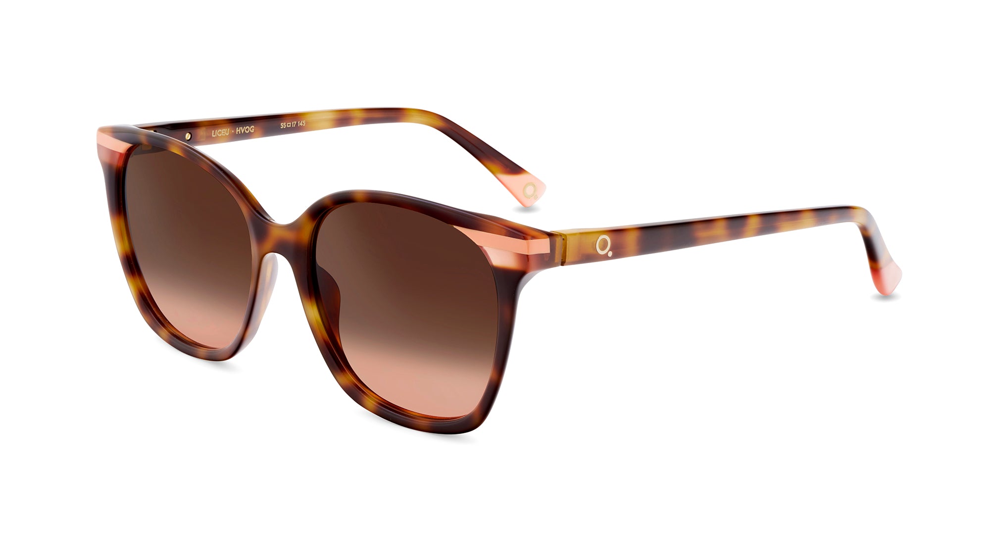 Etnia Barcelona Liceu lunettes de soleil BL/BR dégradé 55