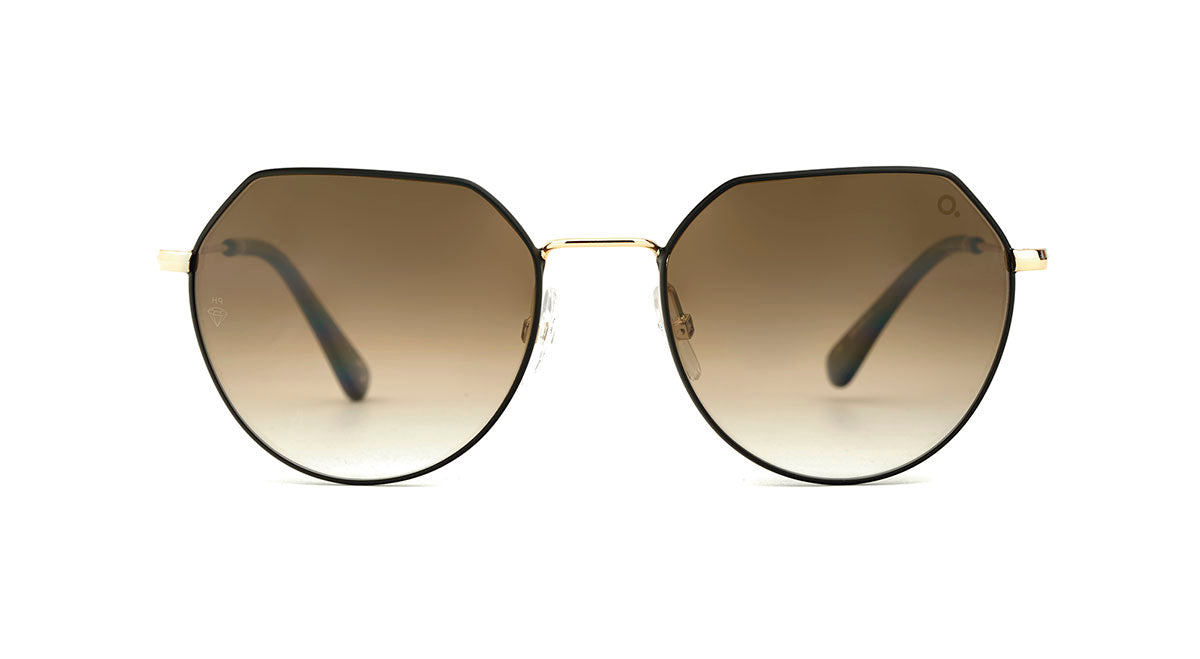 Etnia Barcelona Rhode Island Sun lunettes de soleil BK/GD 53