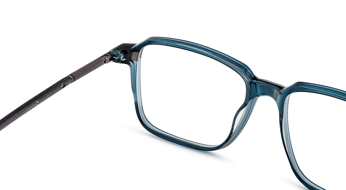 Etnia Barcelona Seligman lunettes de vue platine 53