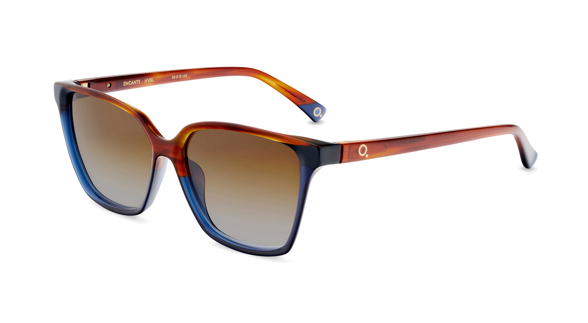 Etnia Barcelona Encants lunettes de soleil polarisées BK/HV