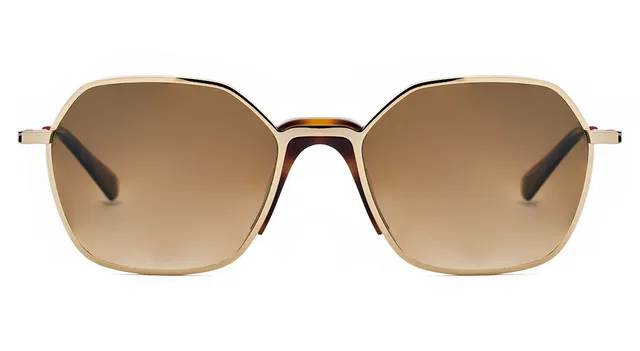 Etnia Barcelona Yoyogi Sun lunettes de soleil BR/BZ 53